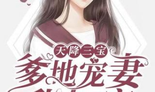 三宝闹喜总裁爹地我来了