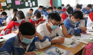 建议小学初中取消英语