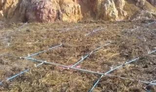 提炼黄金的最简单方法 提炼黄金的最简单方法